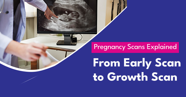 Pregnancy Scans Explained From Early Scan to Growth Scan